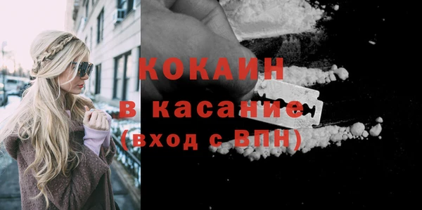крисы Кодинск
