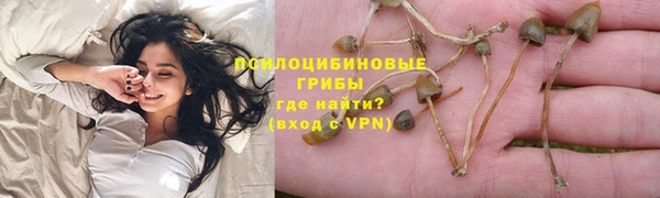 не бодяженный Козельск