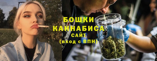 крисы Кодинск