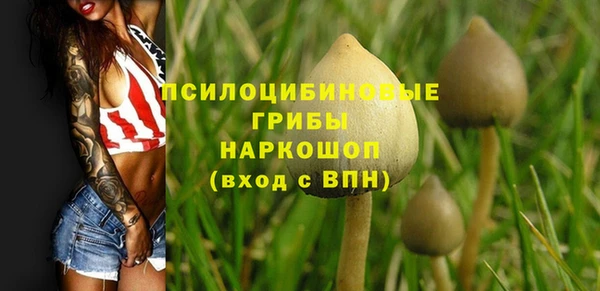 Альфа ПВП Козловка