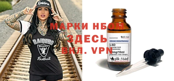 крисы Кодинск