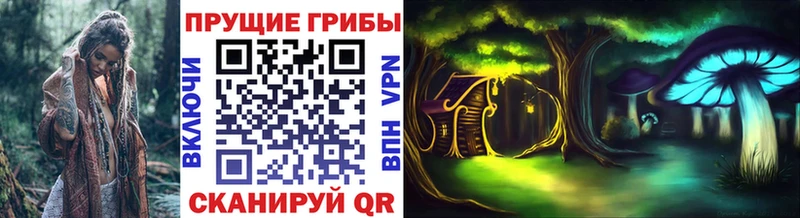 Купить закладки  Прохладный  Галлюциногенные грибы Psilocybe 